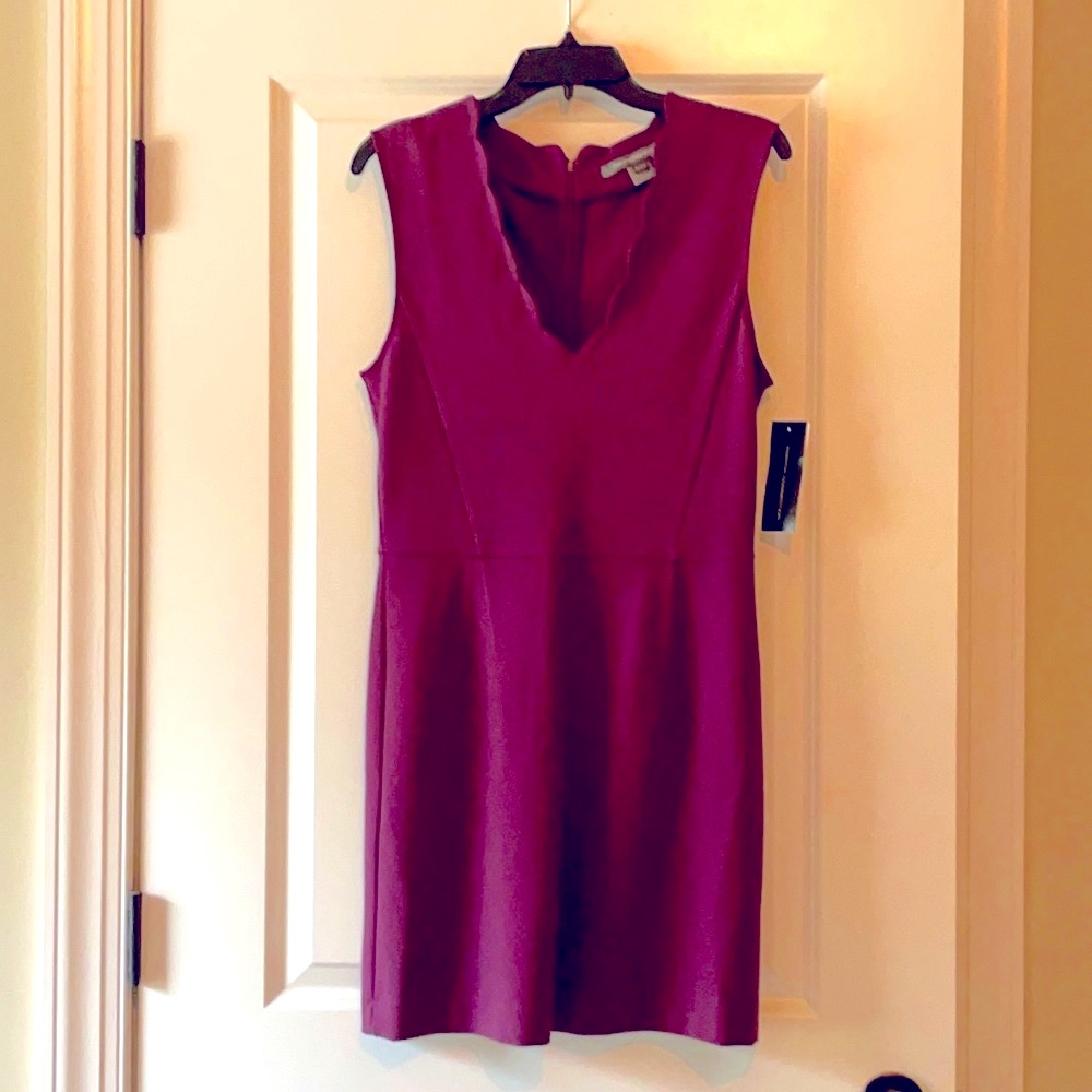 NWT French Connection as 8 scalloped purple dress
